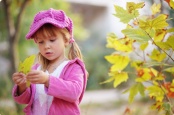19_lookatleaves-1030x685